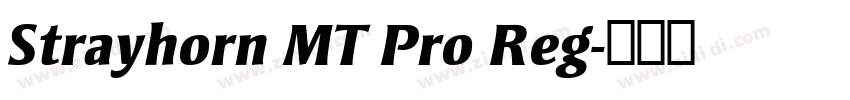 Strayhorn MT Pro Reg字体转换